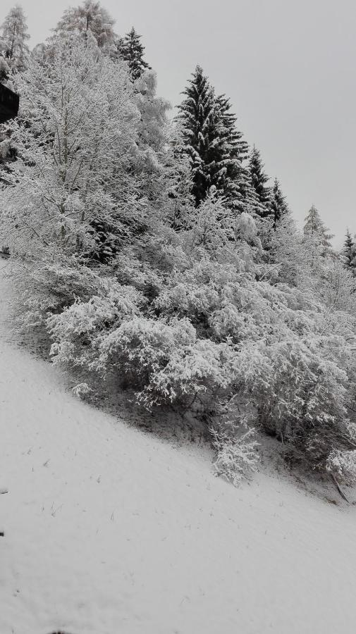 Pension Brunner Bad Kleinkirchheim Dış mekan fotoğraf